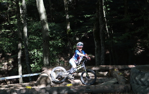 6ac94071e41ec_IMG2381.JPG