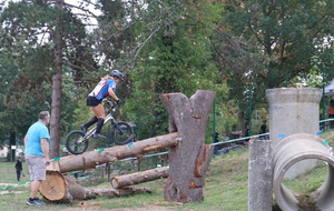 6ac941de1a035_IMG2517.JPG